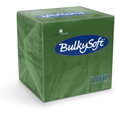 BulkySoft Napkins 24x24cm 2-ply cellulose green (100)