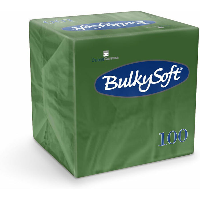 BulkySoft Napkins 24x24cm 2-ply cellulose green (100)