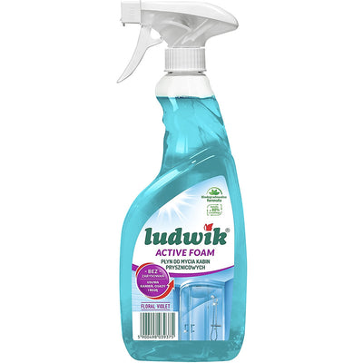 Ludwik 600ml foam for cleaning shower cabins